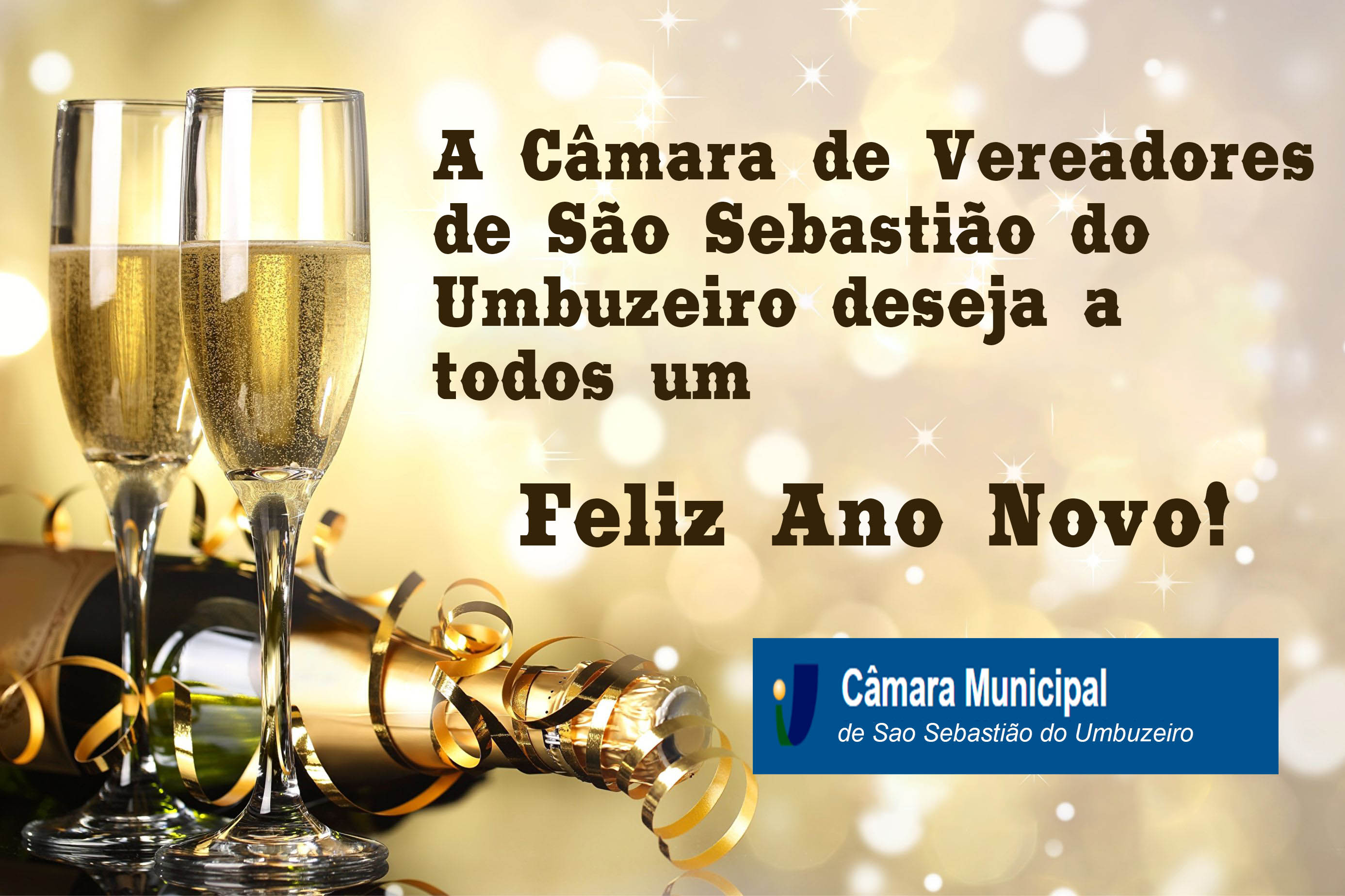 A Câmara de Vereadores de São Sebastião do Umbuzeiro através de seu presidente Jaílson Freitas deseja deseja a todos um Feliz Ano Novo!